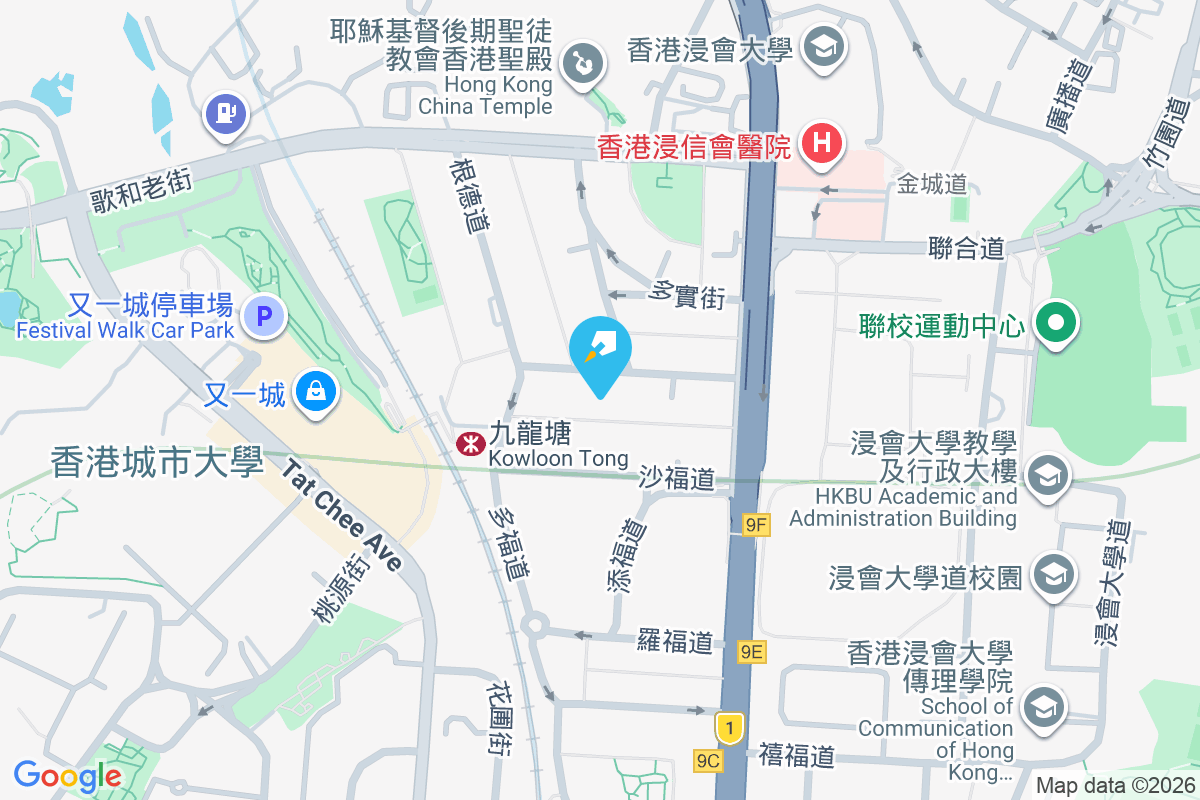 森麻實道16號 森麻實道16號