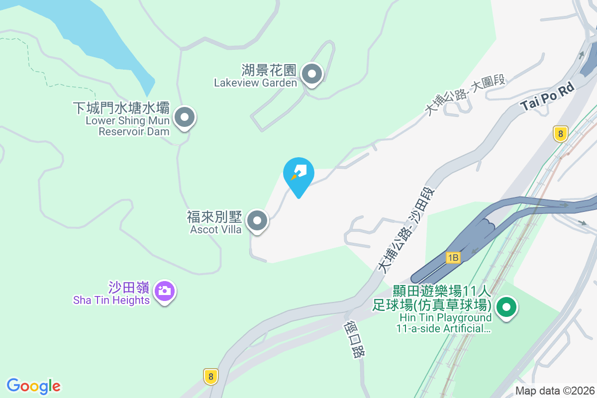 金泰別墅 沙田嶺道33號