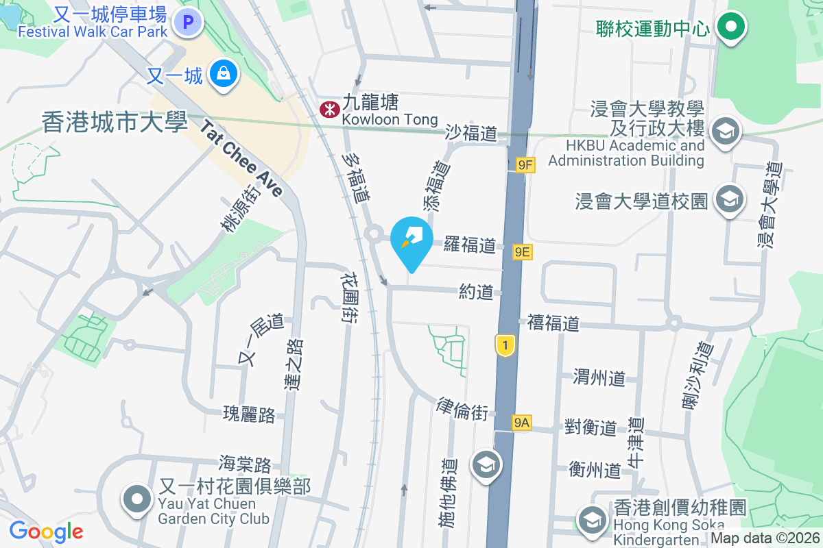 約道11號 約道11號