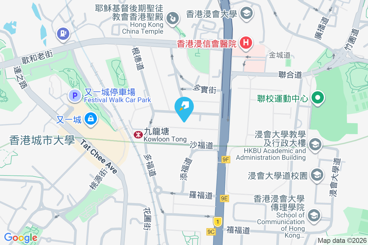 森麻實道14號 森麻實道14號