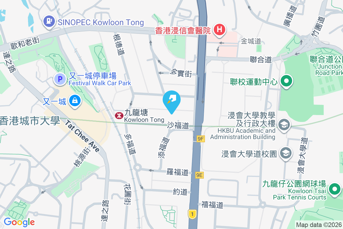 沙福道5號 沙福道5號