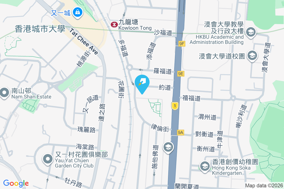 約道12號 約道12號