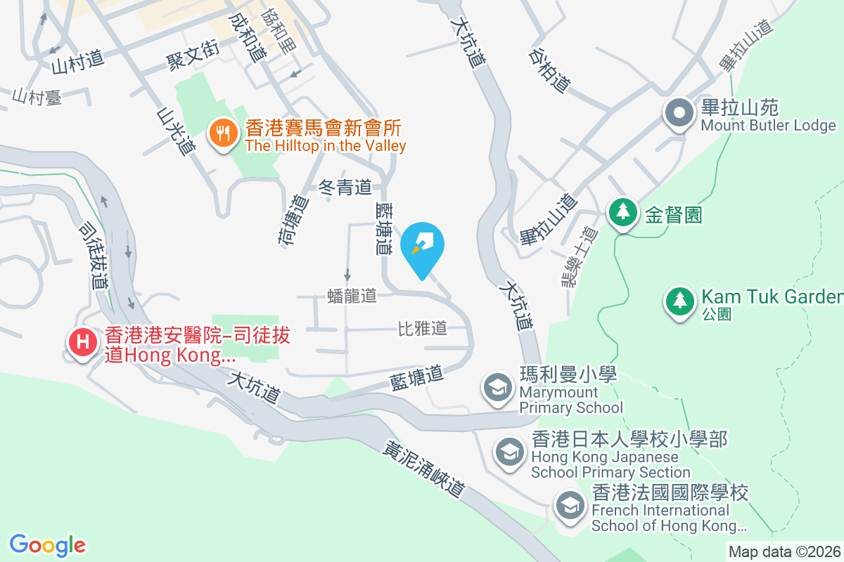 金輝園 藍塘道95號