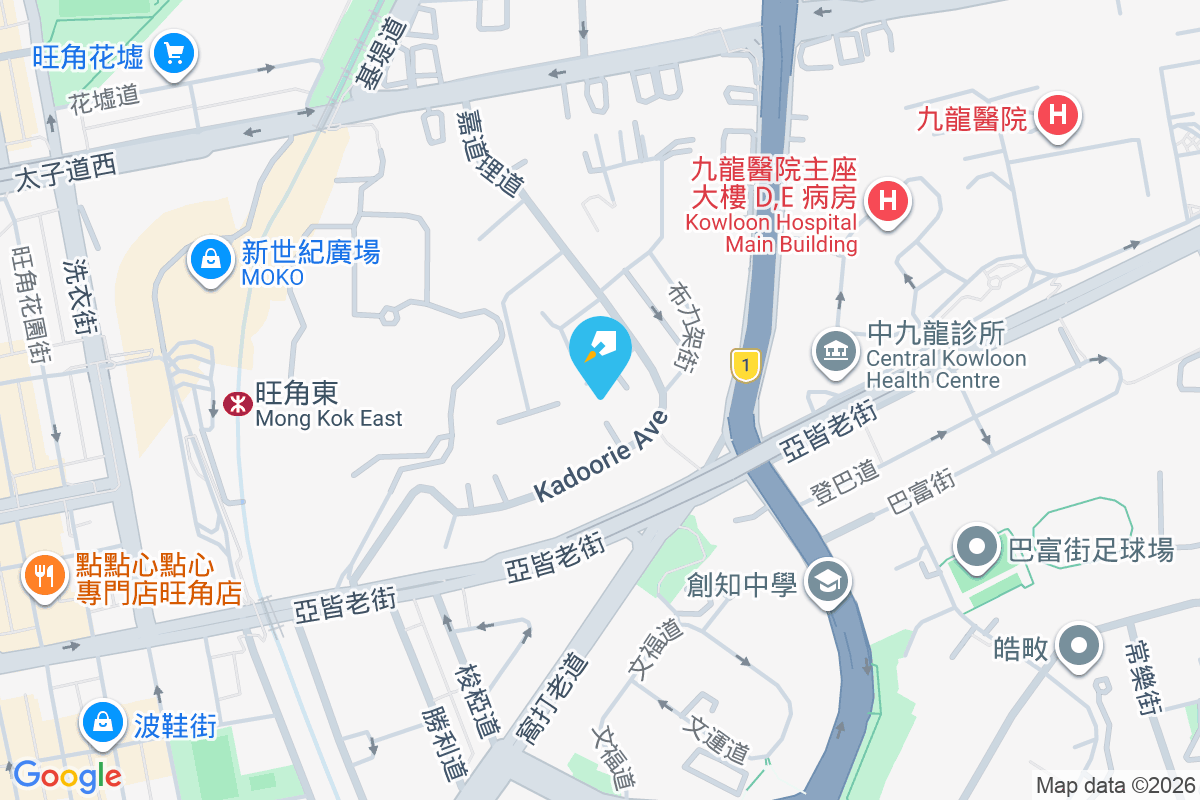 嘉道理道45號 地圖位置