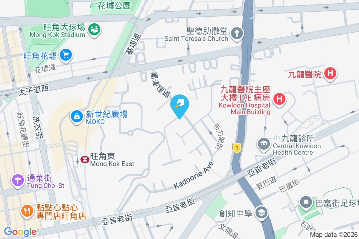 嘉道理道73A號 地圖位置