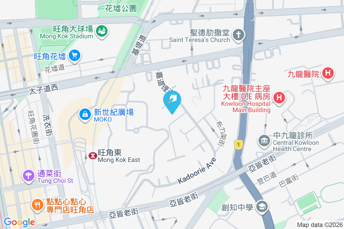 嘉道理道93號 地圖位置