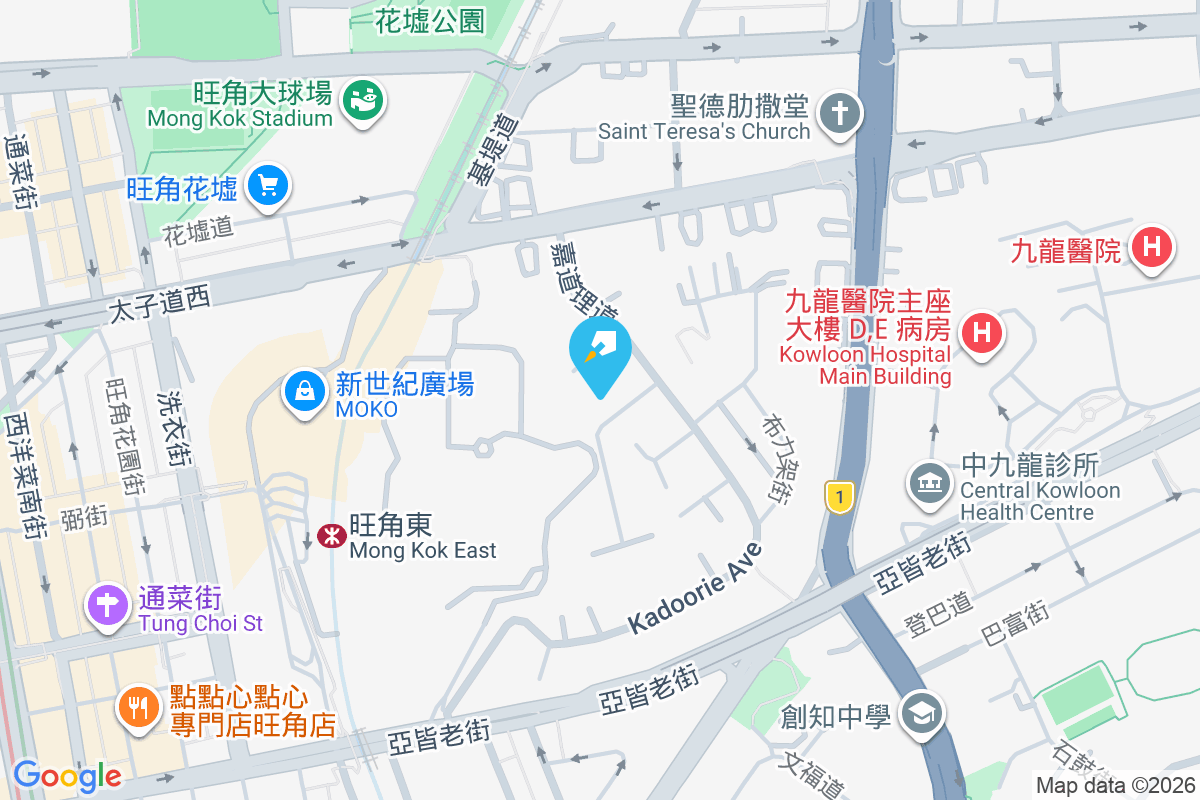 嘉道理道91號 地圖位置