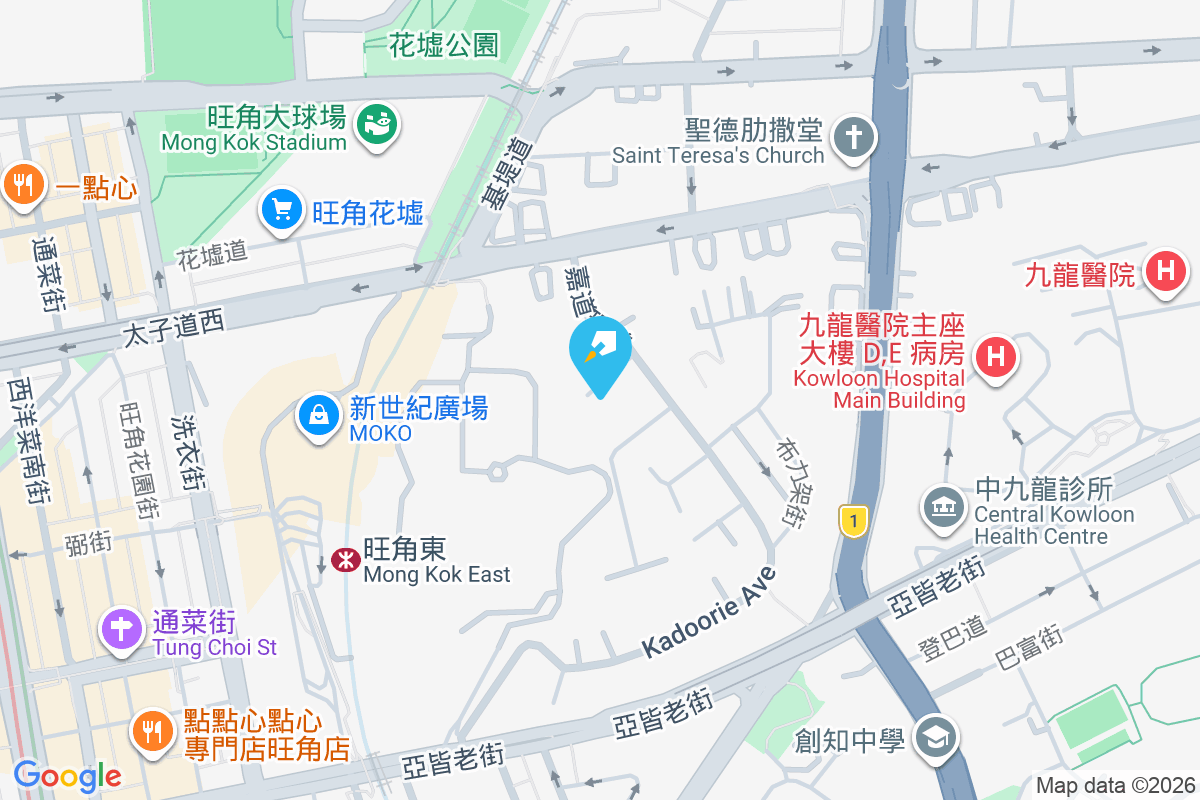 嘉道理道99號 地圖位置