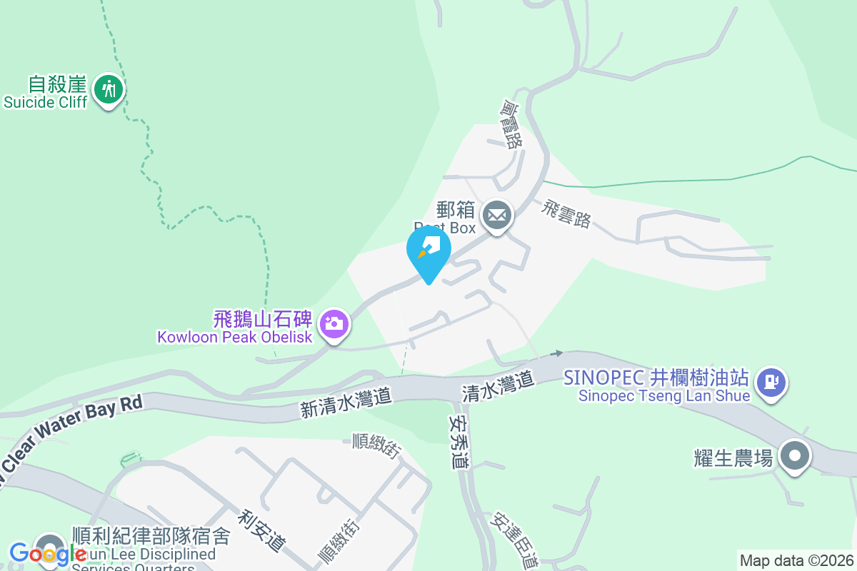 飛鵝山道8號 飛鵝山道8號