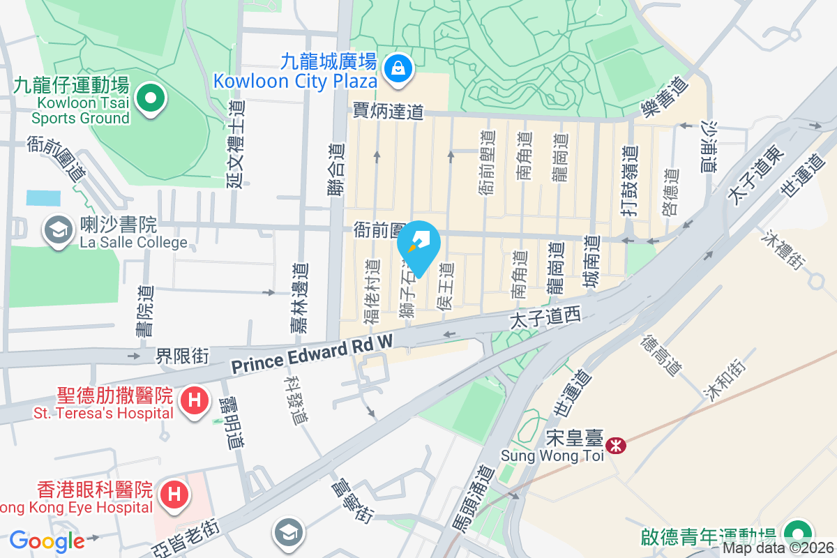 獅子石道20號 獅子石道20號