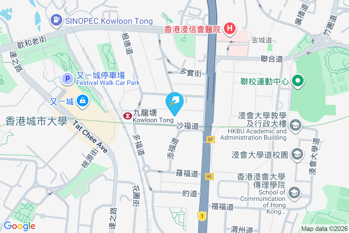 沙福道6號 地圖位置