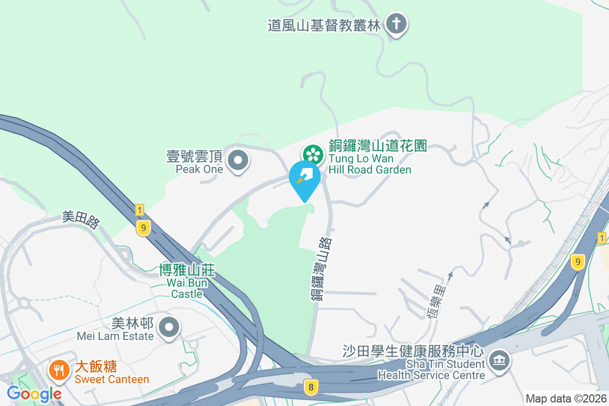 銅鑼灣村 地圖位置